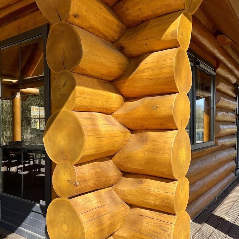 Unieke Houten Villa Met Sauna In Twente - 5P Den Ham Exterior foto